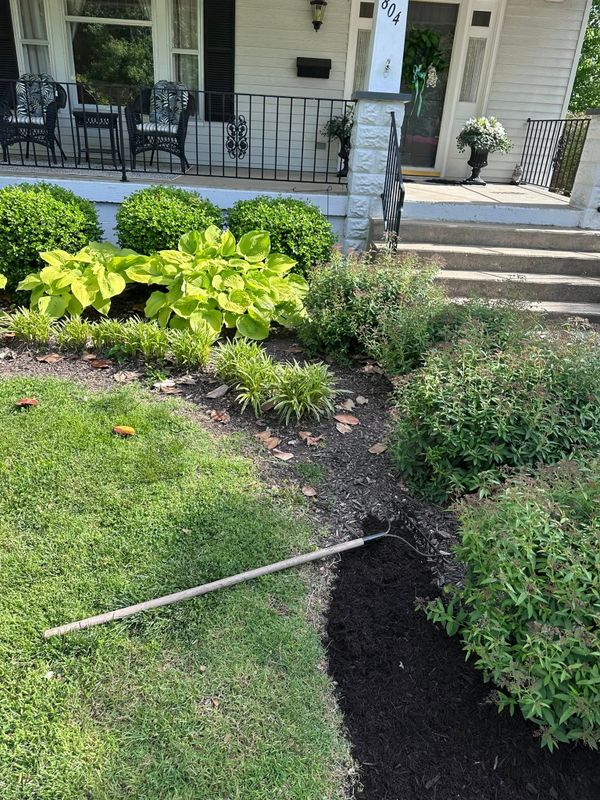 Plant & Shrub Installations