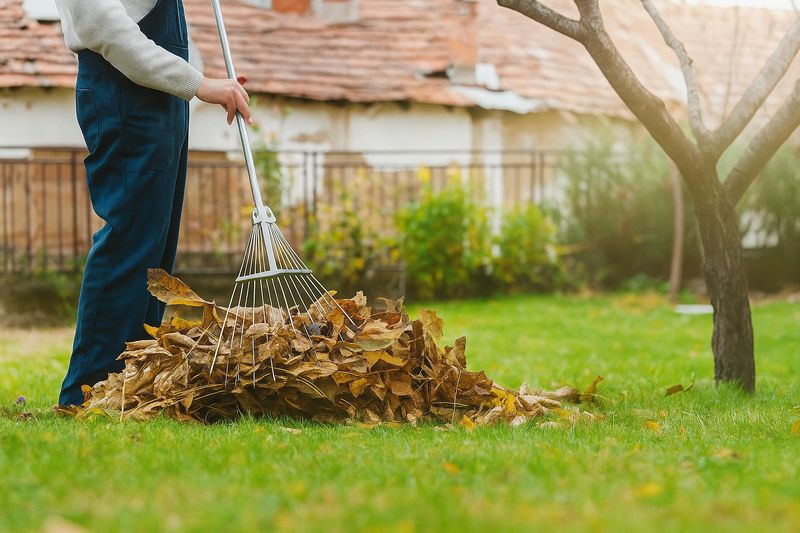Landscaping