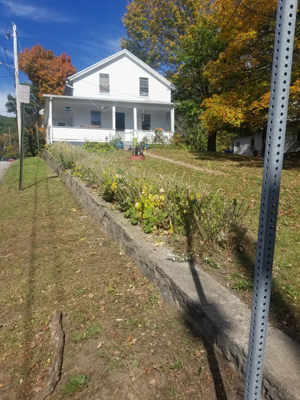 Hedge/Tree/Brush Cutting