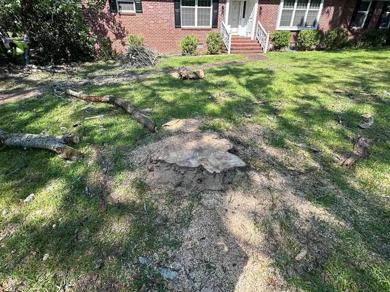 Tree Removal
