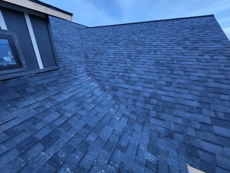 Shingle and Metal Roofs