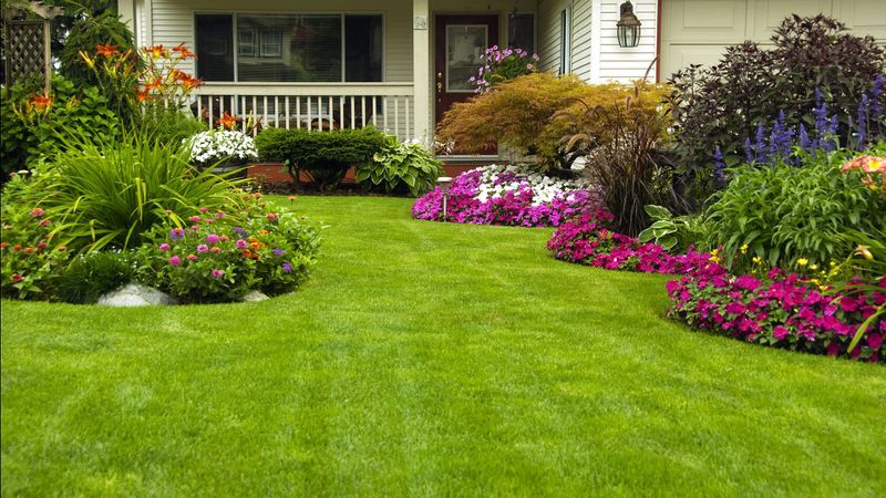 Landscape Design & Installation