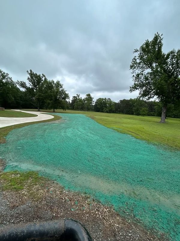 Hydroseeding gallery