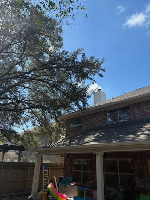 Tree Trimming