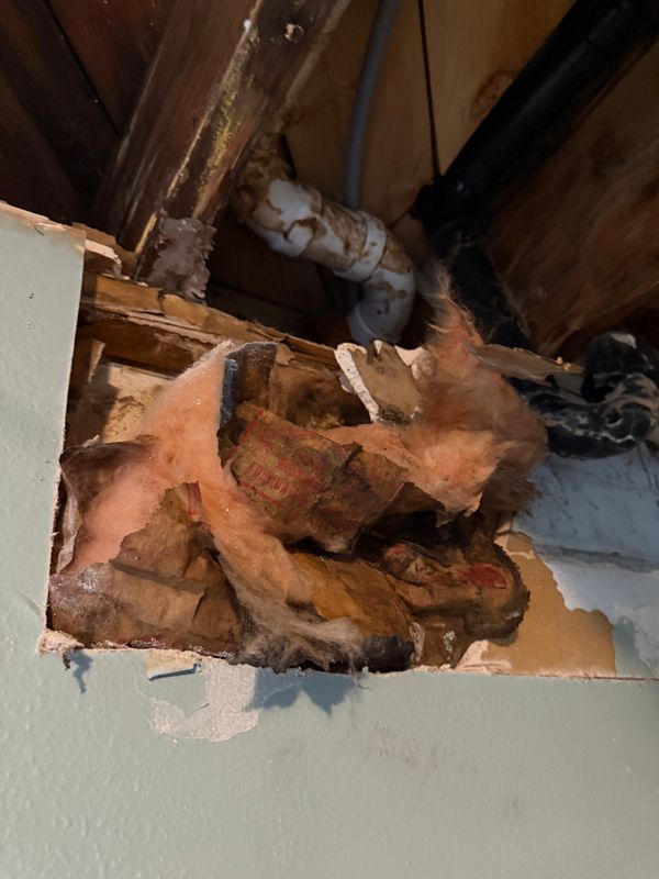 Water-Damaged Drywall & Ceiling Restoration