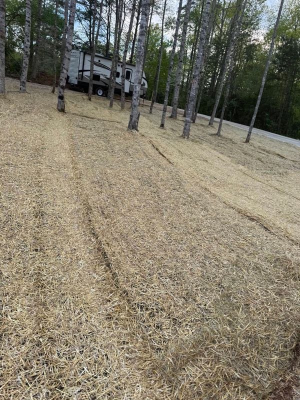 Land Clearing gallery