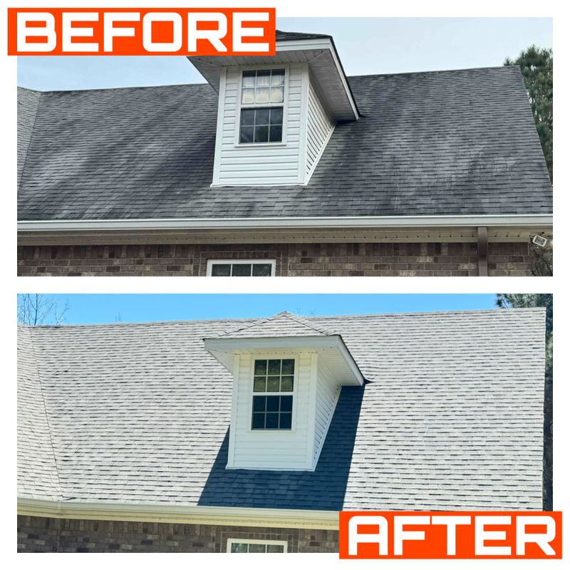 Roof Cleaning