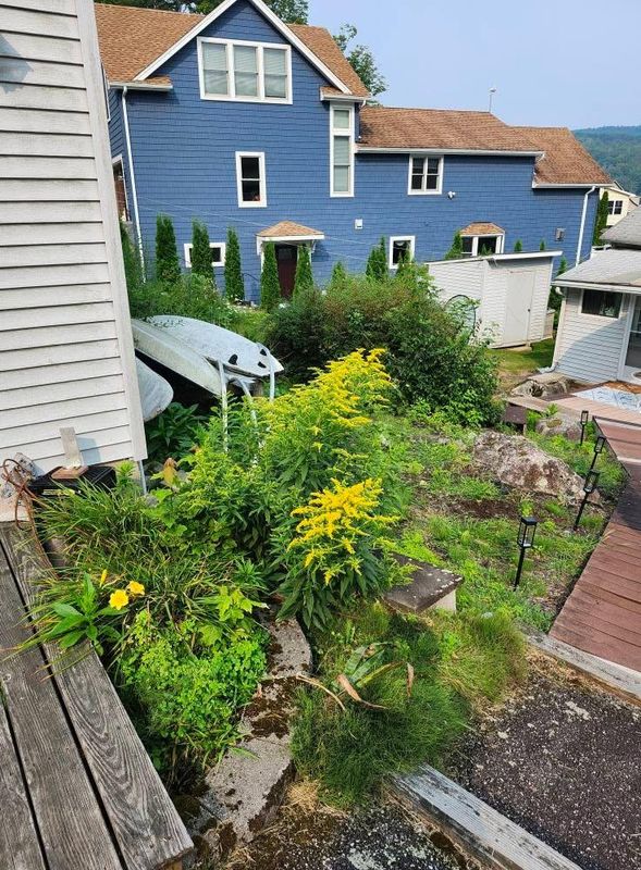 Shrub Trimming