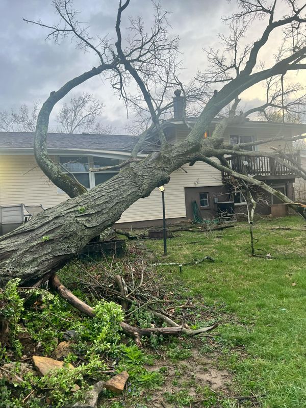 Storm Damage & Insurance Claims