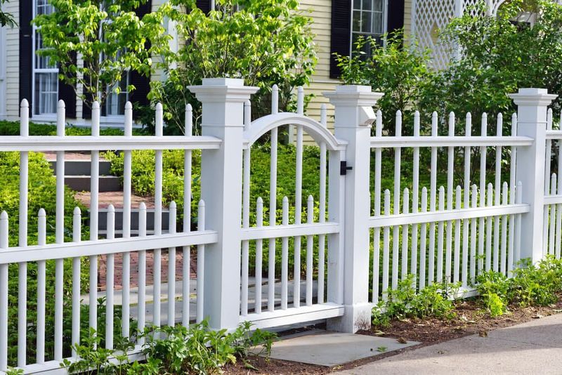 Fence Staining and Restoration