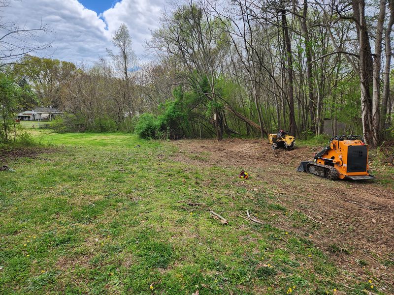 Stump Removal