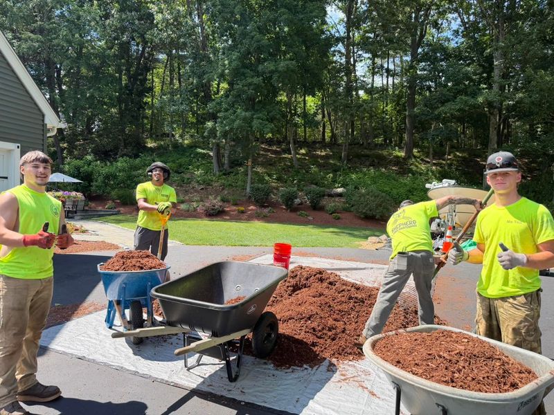 Dirt & Site Work