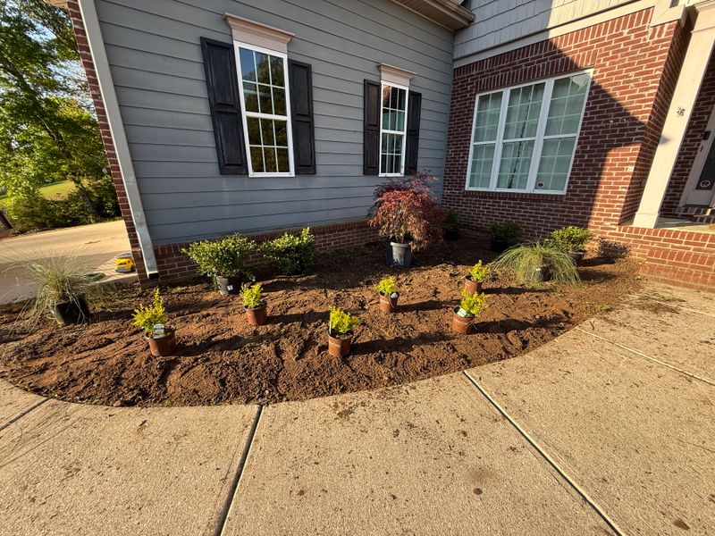 Pine Straw and Mulch