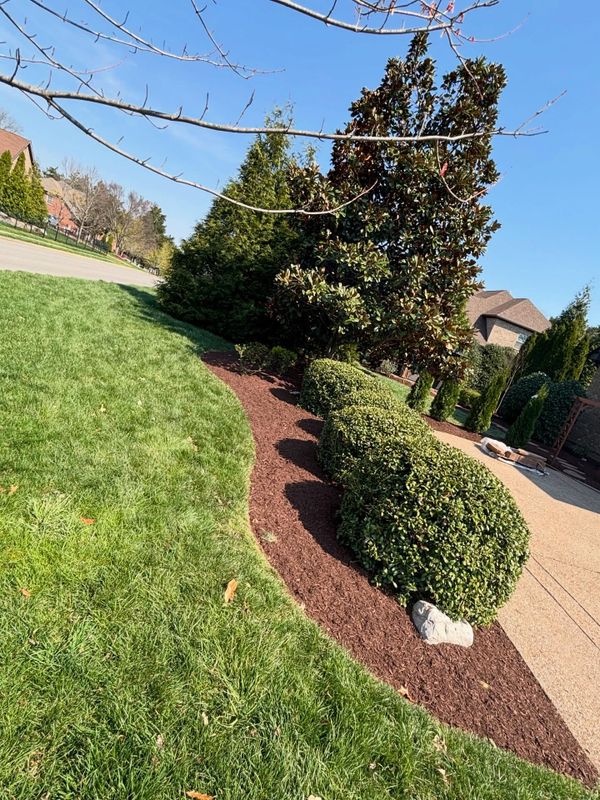 Lawn Maintenance