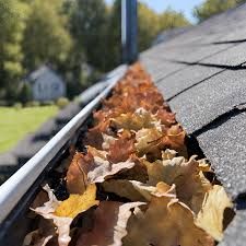 Gutter Cleaning