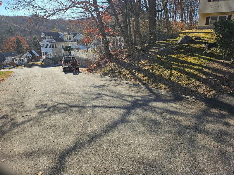Spring & Fall Cleanups