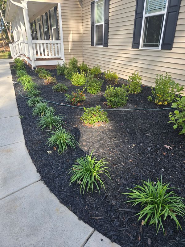 Mulch Installation