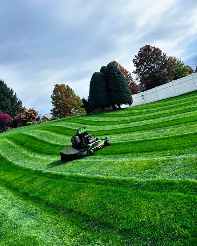 Landscaping