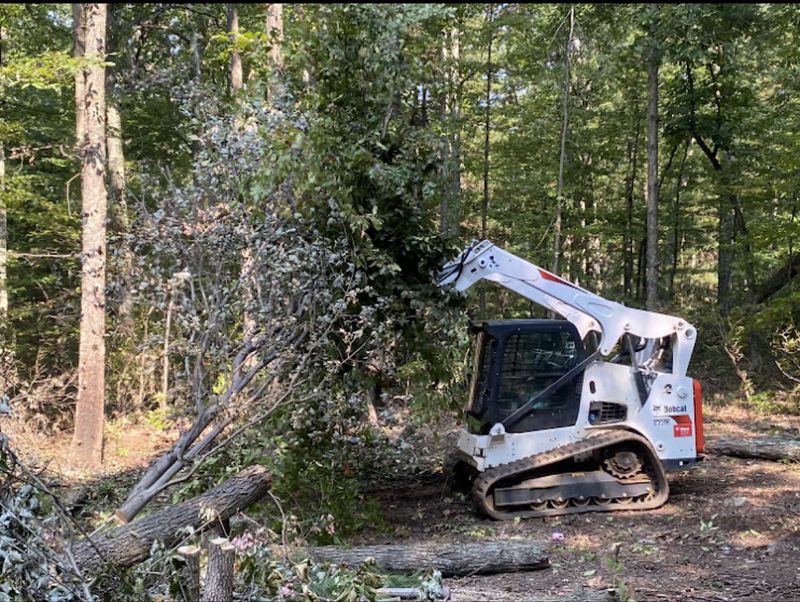 Land Clearing