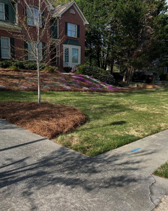 Landscape Design
