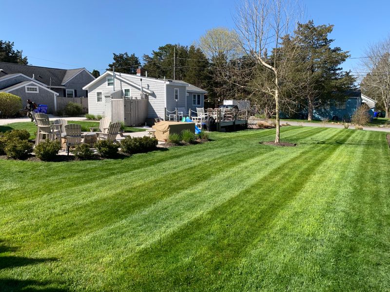 Mowing gallery
