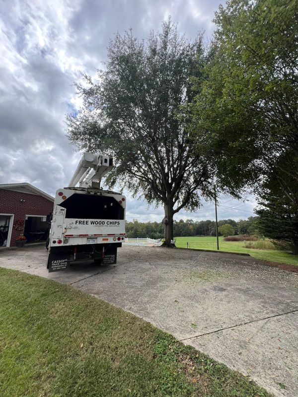 Fall Clean Up