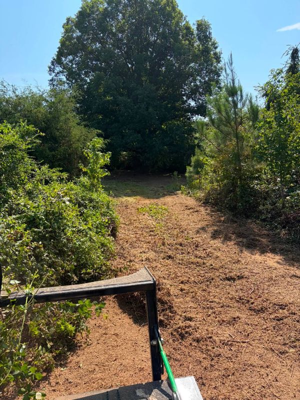 Forestry Mulching