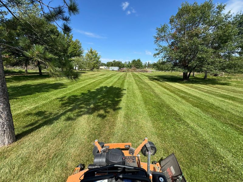 Lawn Care & Maintenance