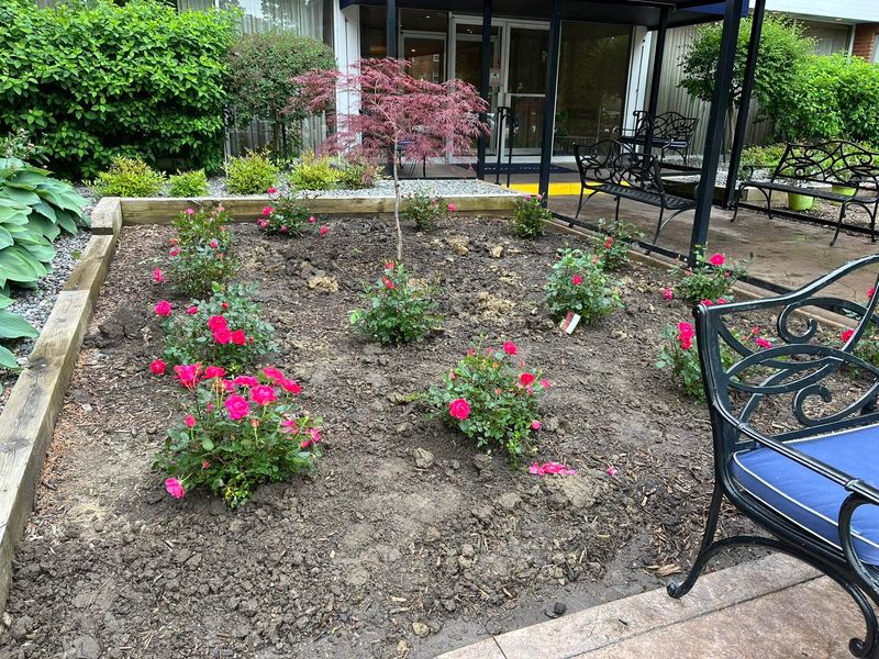 Landscaping