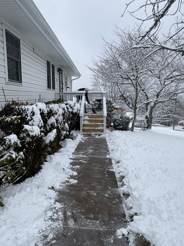 Snow Removal