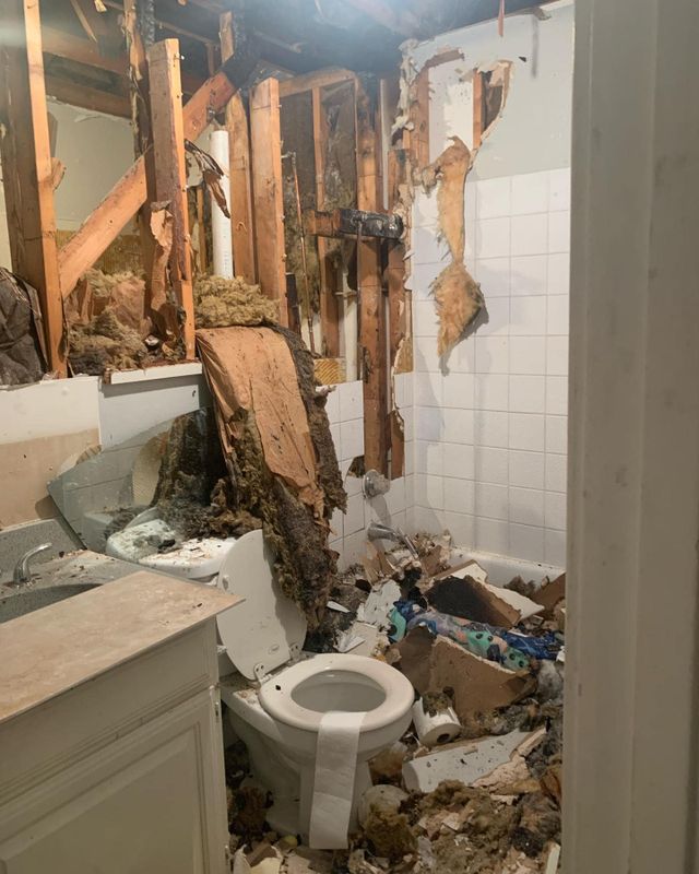 Drywall and Plastering