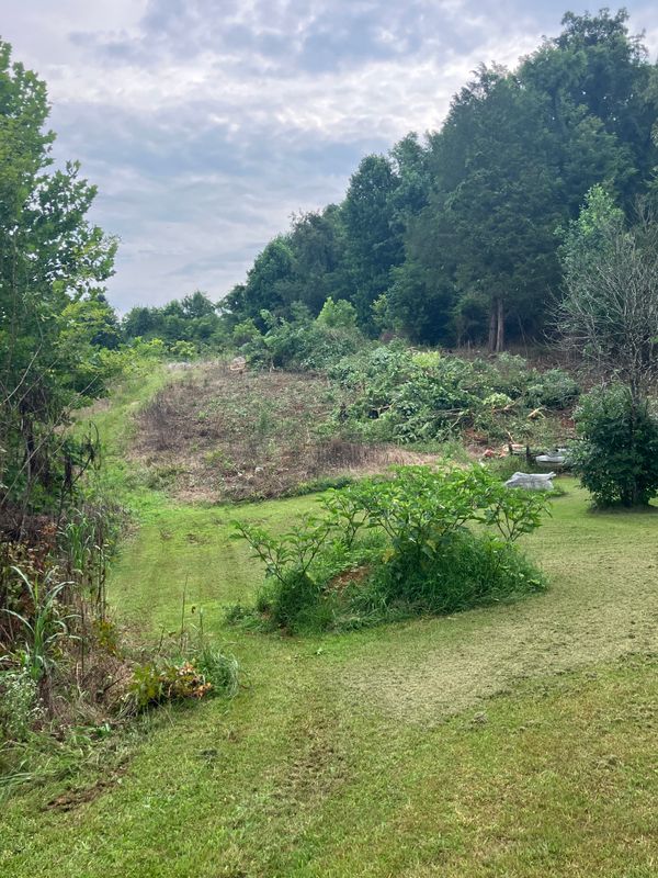 Land Clearing & Demolition