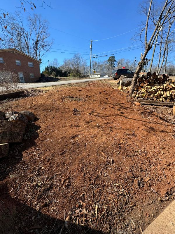 Stump Removal