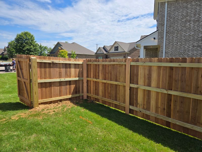 Cedar Privacy Fence Installation