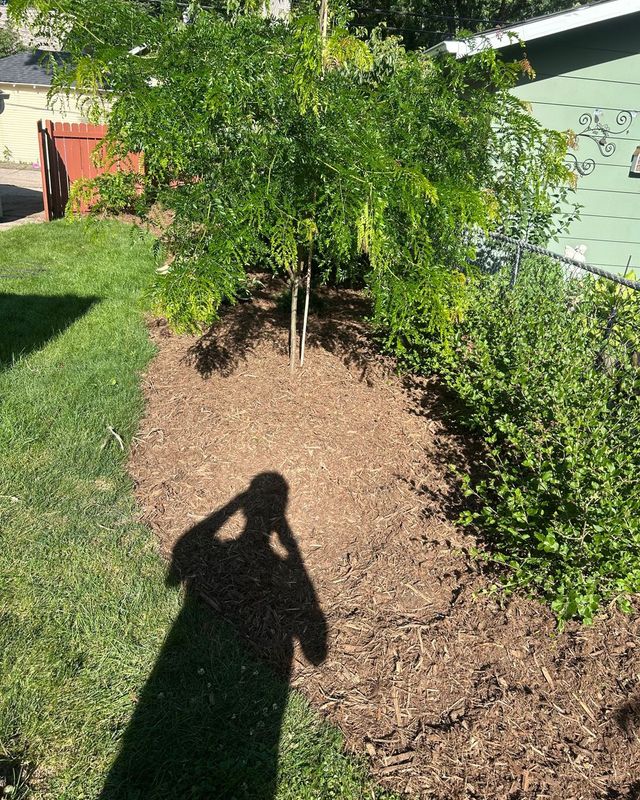 Garden Bed Design & Installation