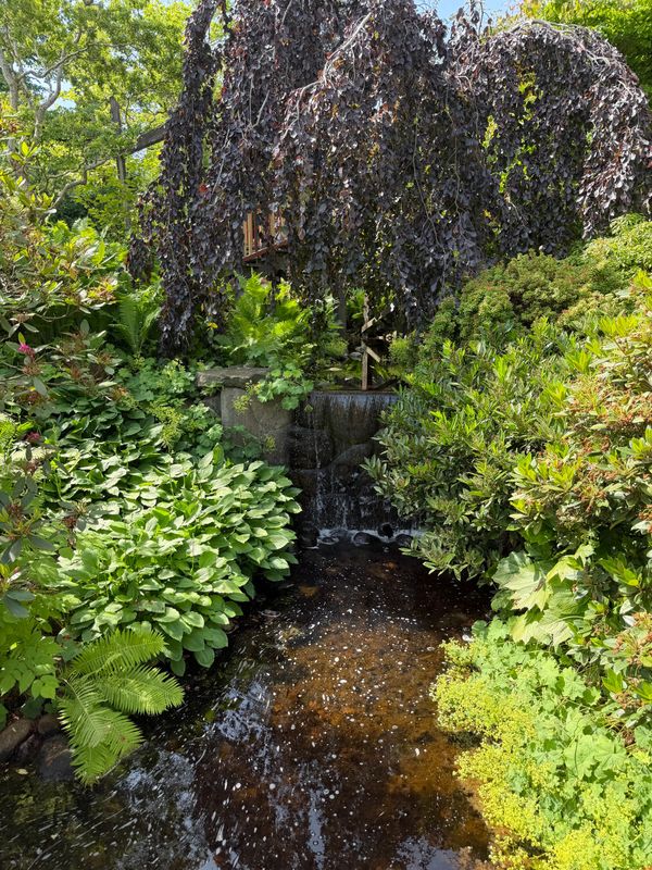 Waterfall Construction