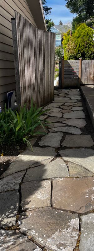 Pressure Washing