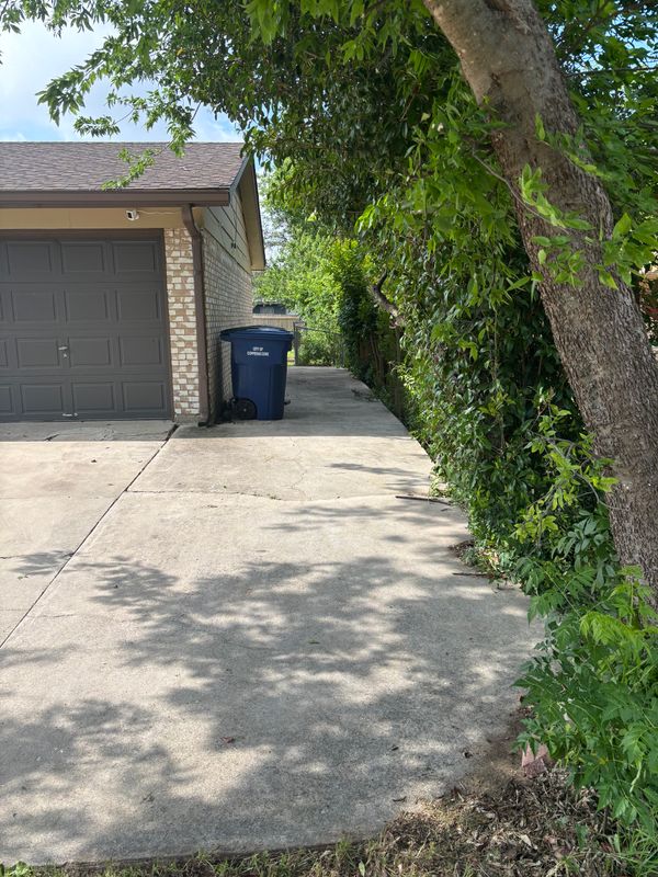 Shrubbery trimming and removal