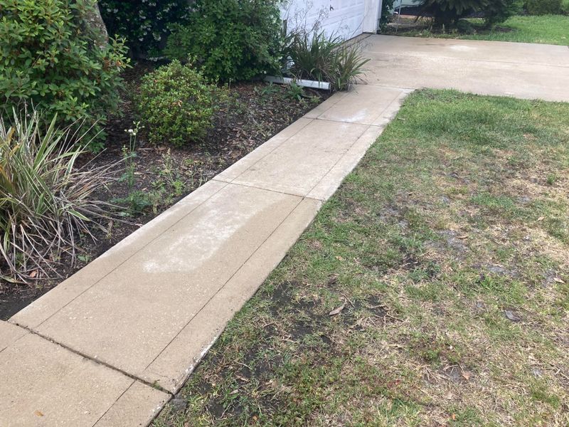 Exterior Cleaning