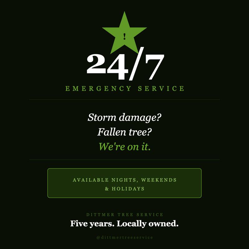 24/7 Emergency Service