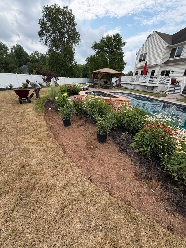 Tree & Perennial Planting