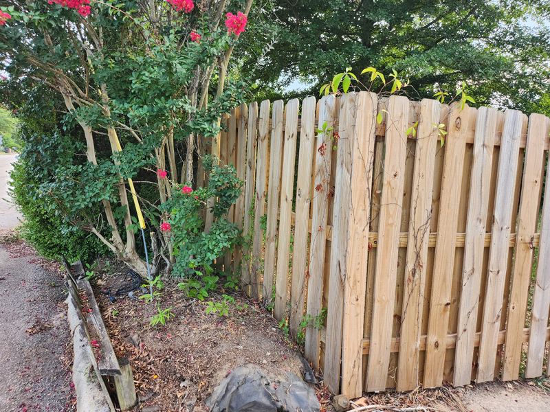 Fences