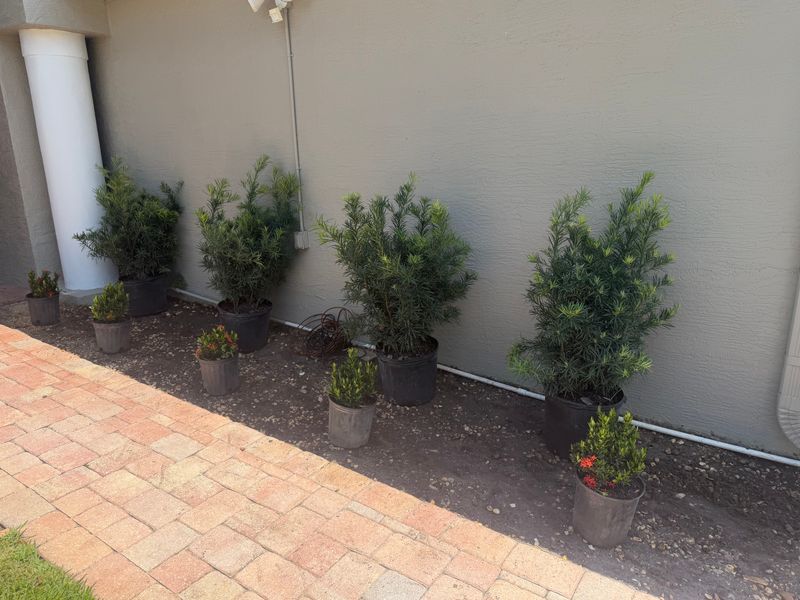Landscape Design