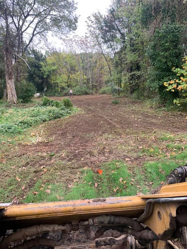 Land Clearing