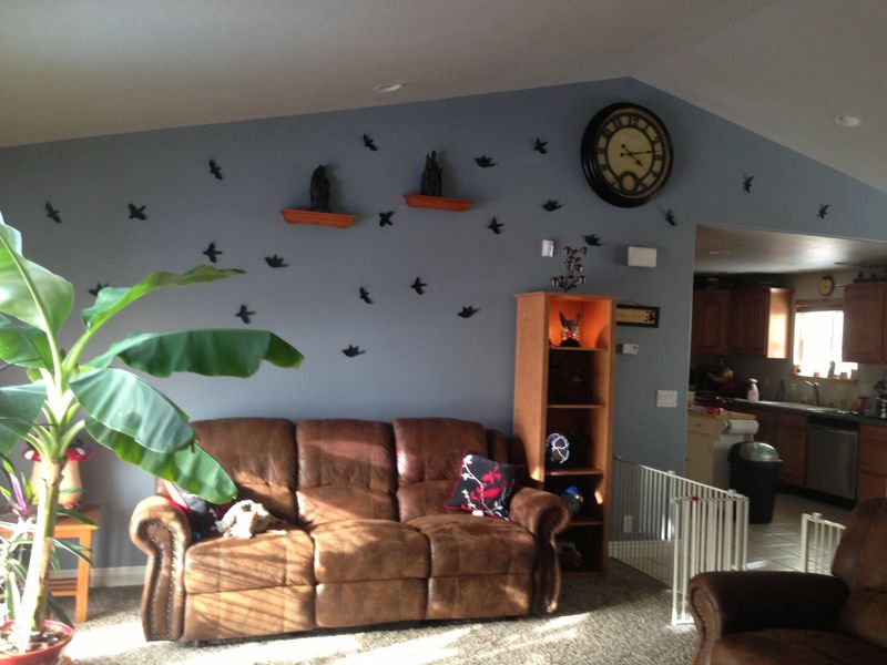 Interior Painting gallery