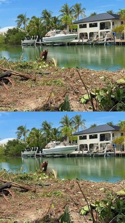 Tree Removal