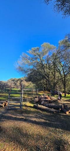 Tree Removal