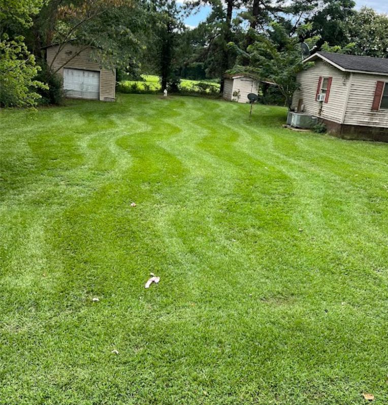 Lawn Mowing and Maintenance