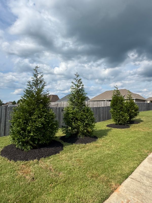 Landscape Design and Installation