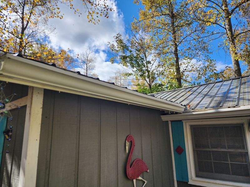 Gutter Cleaning